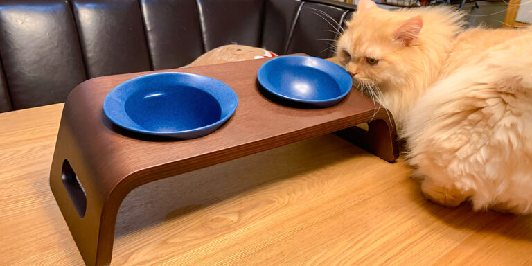 KARIMOKU CAT TABLE ブルー＆モカブラウン